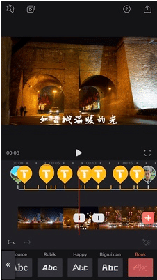 Videoleap